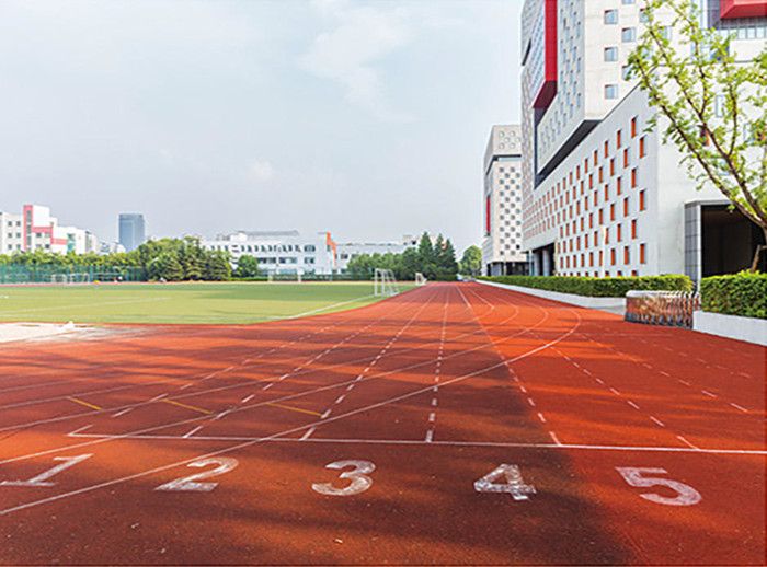 EPDM綵(cai)色(se)顆粒毬場(chang)的(de)優勢